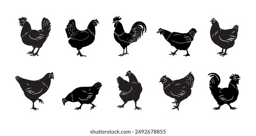 10 Chicken Silhouette Vector Set