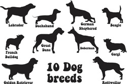 10 Dog Breeds Silhouette Collection 
