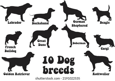 10 Dog Breeds Silhouette Collection Stock Vector (Royalty Free ...