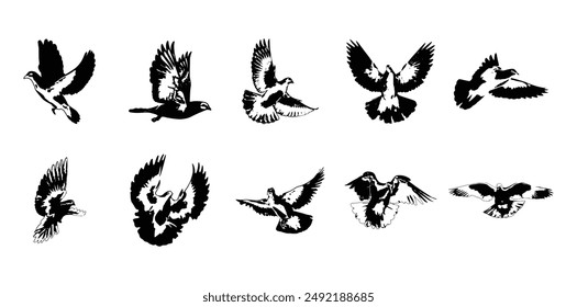 10 Dove Stencil Set Collection