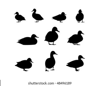 10 Duck Silhouette