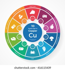 10 foods high in Copper. Nutrition infographics. Healthy lifestyle and diet vector illustration with food icons.