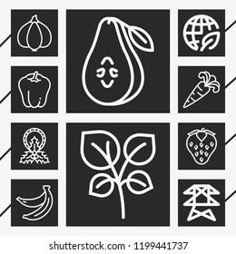 10 green  outline style icons about ecology, power line, mistletoe, bananas, oregano, pear, bell pepper, garlic, strawberry