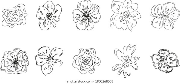 10 hand-drawn blossom wildflowers. Big collection of 10 hand-drawn roses. Big floral botanical set. Isolated on white background. Doodle simple vector collection.