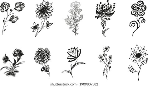 10 hand-drawn blossom wildflowers. Big collection of 10 hand-drawn roses. Big floral botanical set. Isolated on white background. Doodle simple vector collection.