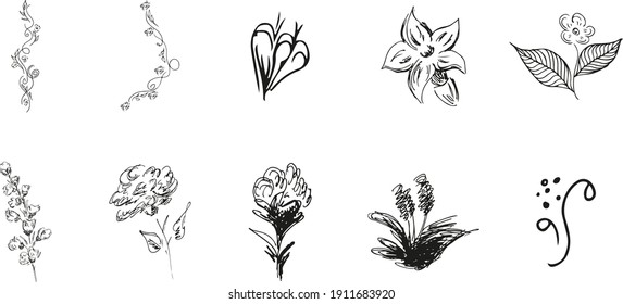 10 hand-drawn blossom wildflowers. Big collection of 10 hand-drawn roses. Big floral botanical set. Isolated on white background. Doodle simple vector collection.
