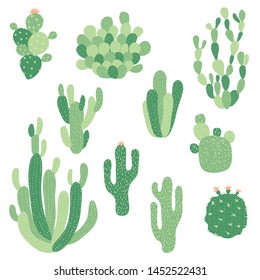 10 illustrations of vector cactuses