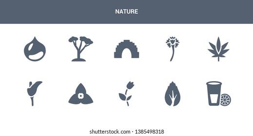 10 nature vector icons such as lemon and juice drop out, birch, bell, bougainvillea, calla contains cannabis, carnation, cave, cedar, chestnut. nature icons