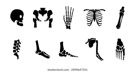 10 Orthopedic Vector Set Collection