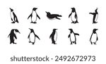 10 Penguin Silhouette Vector Set