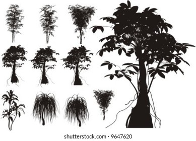 10 Tropical trees, grass, plant vector