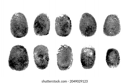 10 vector fingerprint set of each finger isolated on white background.