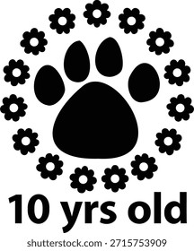 10 anos 2-10 - mono