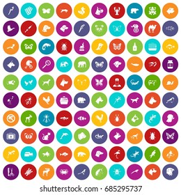 100 animals icons set color
