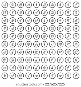 100 bird icons set. Outline illustration of 100 bird icons vector set isolated on white background