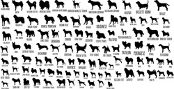 100 Dog Breeds Silhouette Isolated Vector Files