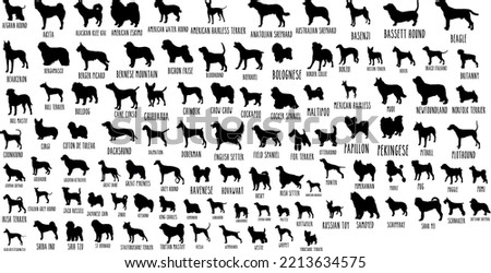 100 Dog Breeds silhouette isolated vector files