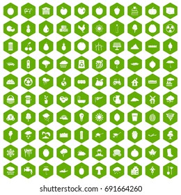 100 fruit icons set in green hexagon isolated vector illustration