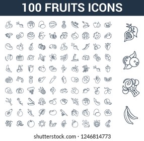 100 Fruits universal linear icons set with Banana, Cauliflower, berries, Onion, Orange, Raspberry, Ginger, Apple, Grapes, Peanut