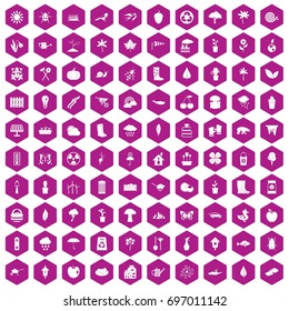 100 garden stuff icons set in violet hexagon isolated vector illustration
