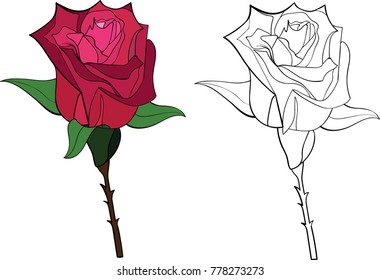 %100 Hand Drawn Recolourable Rose Vector