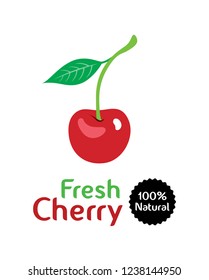 100% natural fresh cherry vector