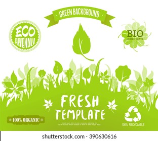 100% organic, eco friendly,  bio certificate, recyclable labels.Green forest silhouette background. Vector banner, brochure, web page or packing template. Green and fresh background. 
