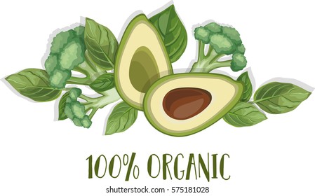 100% organic. Hand drawn vector illustration of healthy food avocado, broccoli and basil leaves. Beautiful template for your design.