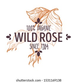 100 organic wild rose hips, rosehips, flowering shrub with leaves, fragrant aromatic herb, pure, freshly packaged, non-GMO label for all natural food, supplement packaging design, hand drawn sketch