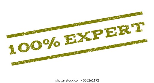 100 Percent Expert watermark stamp. Text caption between parallel lines with grunge design style. Rubber seal stamp with unclean texture. Vector olive color ink imprint on a white background.