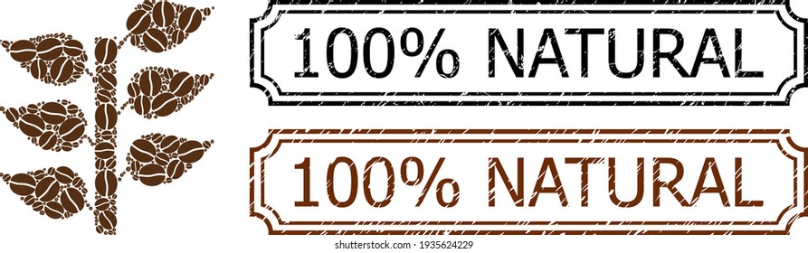 100 Percents Natural Distress Rubber Stamps with Notches and Flora Plant Collage of Coffee Seeds