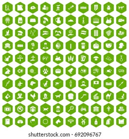 100 pets icons set in green hexagon isolated vector illustration
