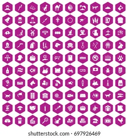 100 pets icons set in violet hexagon isolated vector illustration