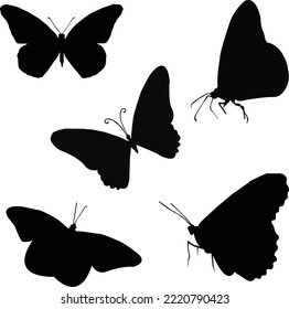 100% Print ready file. You can easily print this design on anything like Wall Art, Drinkware, Pillows, Blankets, Stickers, Bags and more.