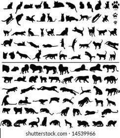 100 silhouettes of big and small cats