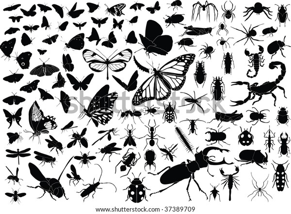 100のベクター画像に昆虫がシルエット 蝶 虫 ハエ 蜂 のベクター画像素材 ロイヤリティフリー
