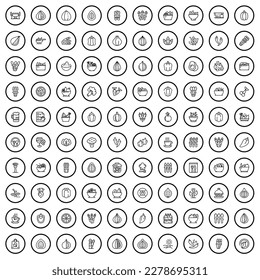 100 vegetarian icons set. Outline illustration of 100 vegetarian icons vector set isolated on white background