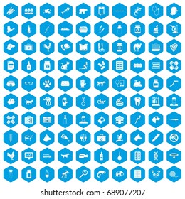 100 veterinary icons set in blue hexagon isolated vector illustration