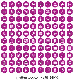 100 veterinary icons set in violet hexagon isolated vector illustration