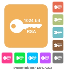 1024 bit rsa encryption flat icons on rounded square vivid color backgrounds.