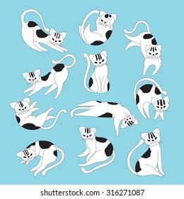 11 action of cat. Cat character. 