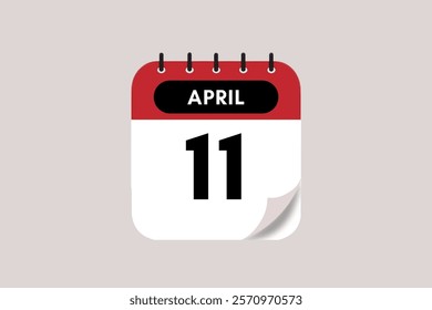 11 April month single day vector, illustration, calendar with rose red, black and off-white color background calendar April 11