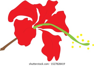 11 Oct. 2019. Kepala Batas, Malaysia. Malaysia national flower, red hibiscus illustration. Suitable design on cloth and T-shirt. 