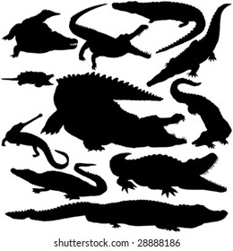 11 pieces of detailed vectoral crocodile silhouettes.