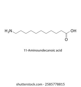 11-Aminoundecanoic acid skeletal structure.Amino acid derivative compound schematic illustration. Simple diagram, chemical formula.