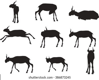 11Black Silhouettes of saiga antilopes set in various poses