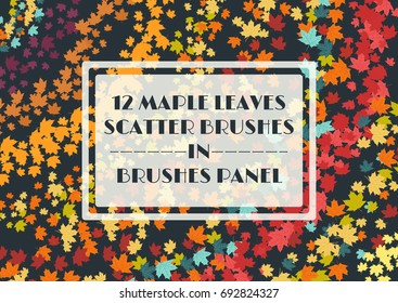 12 autumnal maple leaves scatter brushes set in the brush panel. Vector illustration.