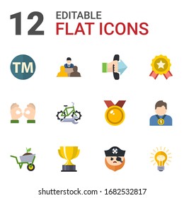 12 íconos planos de insignia establecidos aislados en fondo blanco. Iconos con marca de fábrica, director, llamada a la acción, hecho a mano, servicio de reparación de bicicletas, logro, servicios de jardín, iconos de recompensa.