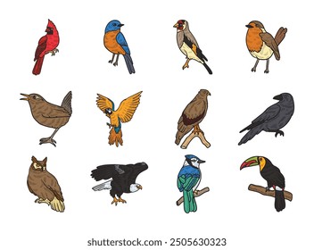 12 Bird Illustration Set - Colored