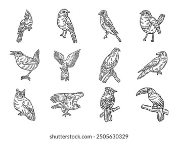 12 Bird Illustration Set - Colorless